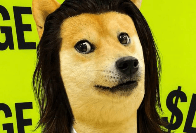 Doge with long hair on a neon green $DOGE background