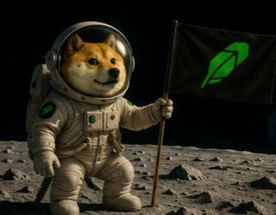 doge meme